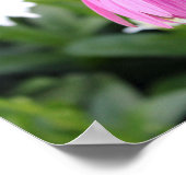 Pink Blume Poster (Ecke)