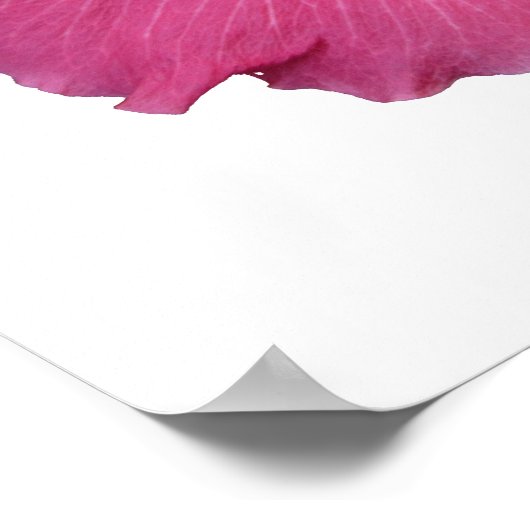 Pink Blume Poster (Ecke)