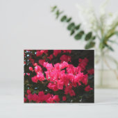 Pink-Blume-Postkarte Postkarte (Stehend Vorderseite)