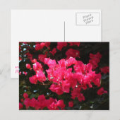 Pink-Blume-Postkarte Postkarte (Vorne/Hinten)