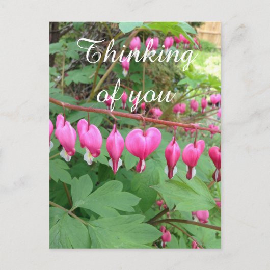 Pink Blutung Herz Foto Denken Sie an Sie Postkarte (Vorderseite)