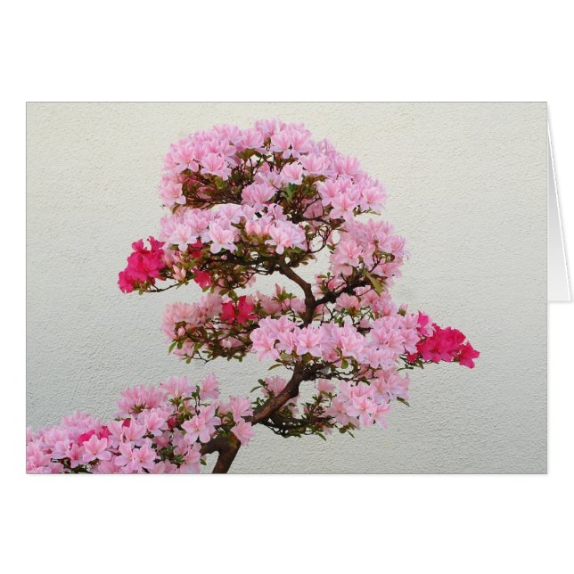 Pink Bonsai Tree (Vorderseite (Horizontal))