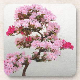 Pink Bonsai Tree Untersetzer