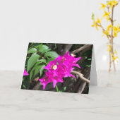 Pink Bougainvillea Blank Karte (Gelbe Blume)