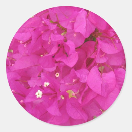 Pink Bougainvillea Blume (Griechenland) Runder Aufkleber (Vorderseite)