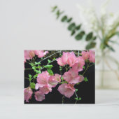 Pink Bouganvilla Cluster Postkarte (Stehend Vorderseite)