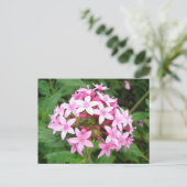 Pink Bouquet Postkarte (Stehend Vorderseite)