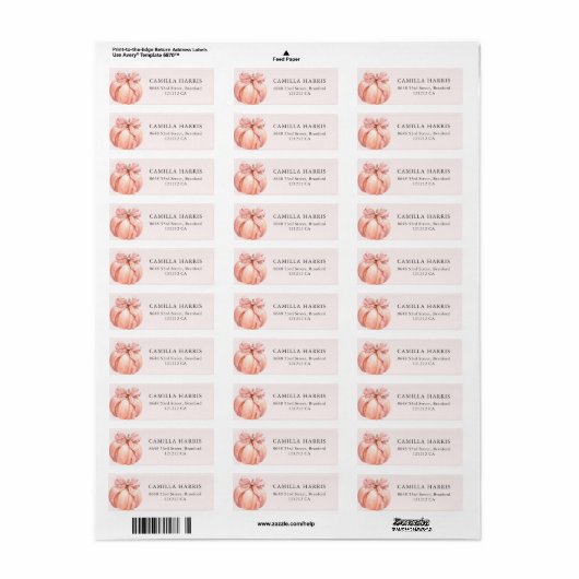 Pink Bow Pumpkin Address Labels (Vorne)