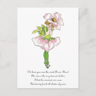 Pink Briar Rose Blume Floral Funny Niedlich Girl Postkarte