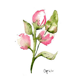Pink Bud Floral Gasttuch Handtuch
