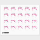 Pink Bunko Erinnerung Stickers (Blatt)