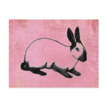 Pink Bunny Postcard
