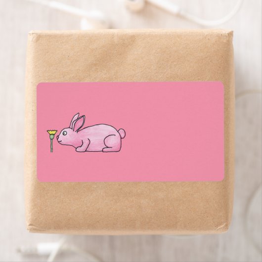 Pink Bunny Rabbit. (Insitu)