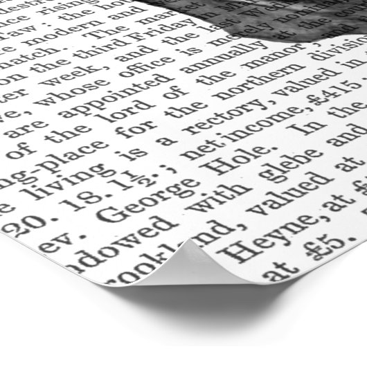 Pink Butterfly Mask Skull Poster (Ecke)