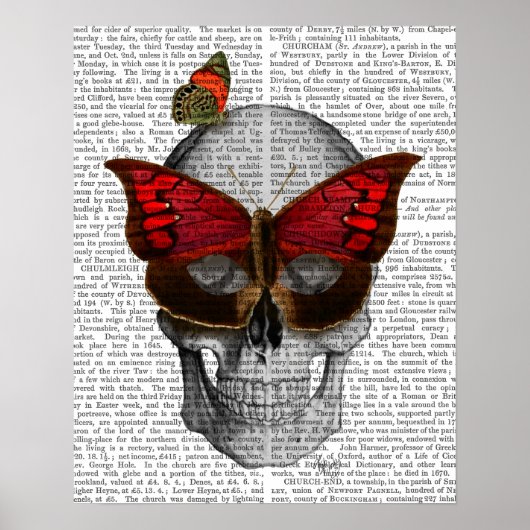Pink Butterfly Mask Skull Poster (Vorne)