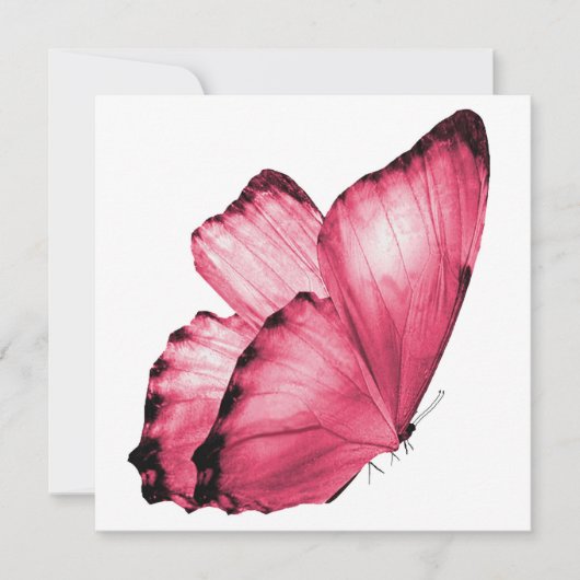 Pink Butterfly Notecard (Vorderseite)