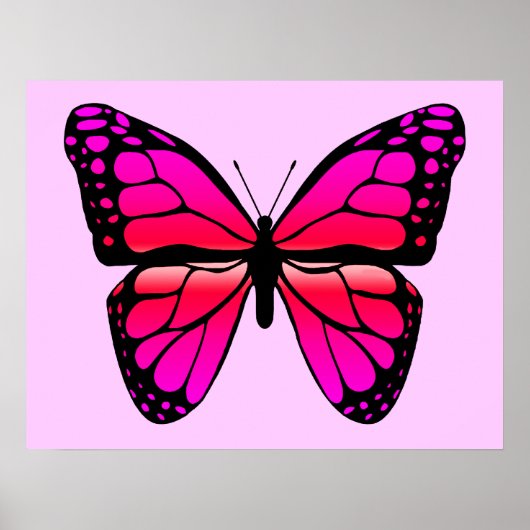 Pink Butterfly Poster (Vorne)