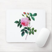 Pink Cabbage Rose von Pierre Joseph Redoute Mousepad (Mit Mouse)