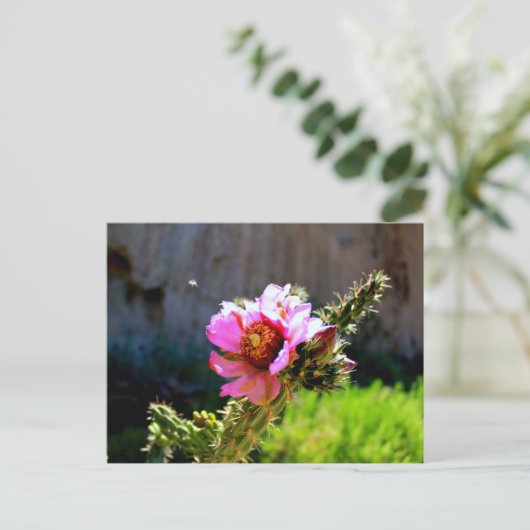 Pink Cactus Bloom mit fliegendem Bug Postkarte (Stehend Vorderseite)