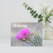 Pink Cactus Blooms, Arizona Postkarte (Stehend Vorderseite)