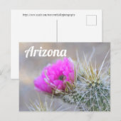 Pink Cactus Blooms, Arizona Postkarte (Vorne/Hinten)