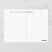 Pink Cactus Blooms, Arizona Postkarte (Rückseite)