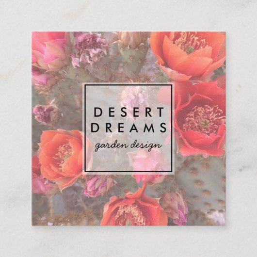 Pink Cactus Blume Desert Garden Foto Travel Quadratische Visitenkarte (Vorderseite)