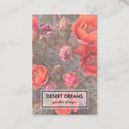 Pink Cactus Blume Desert Garden Foto Travel Visitenkarte (Vorderseite)