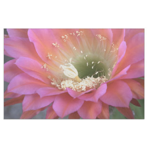 Pink Cactus Blume in der Wüste Stoff