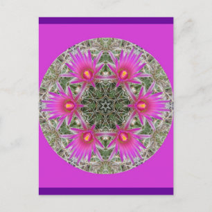 Pink Cactus Blume Postkarte