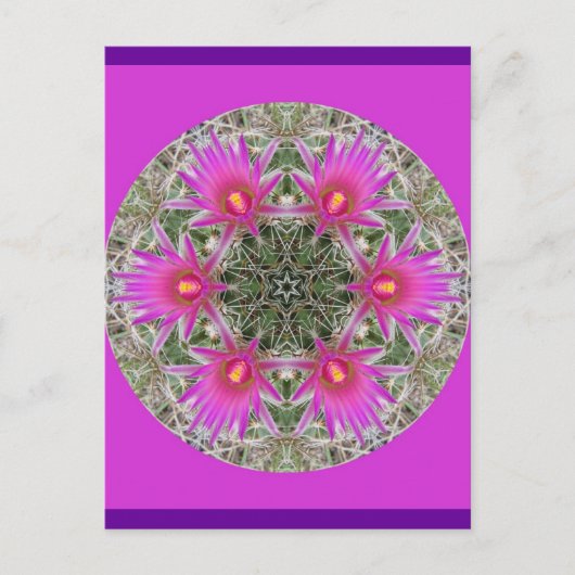 Pink Cactus Blume Postkarte (Vorderseite)