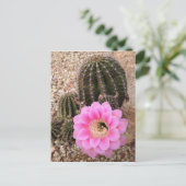 Pink Cactus Blume Postkarte (Stehend Vorderseite)
