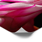 Pink Cactus Blume Print Poster (Ecke)
