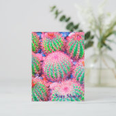 Pink Cactus succulents Postkarte (Stehend Vorderseite)