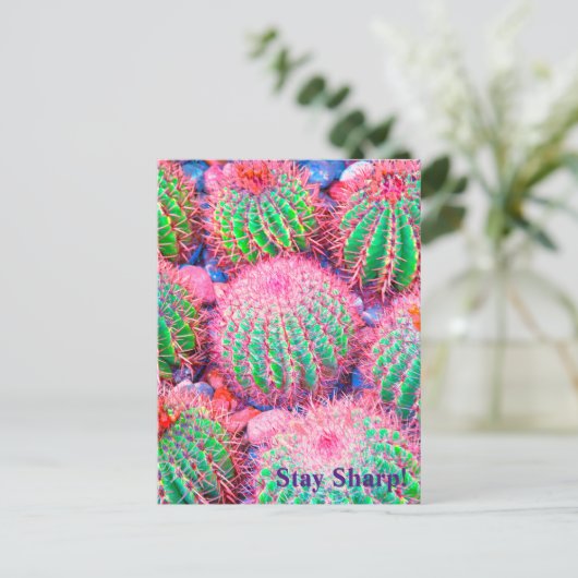Pink Cactus succulents Postkarte (Stehend Vorderseite)