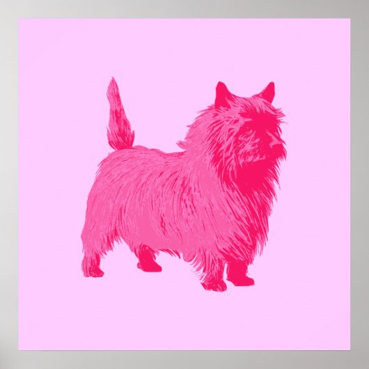 Pink Cairn Terrier Poster (Vorne)