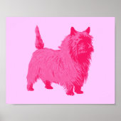 Pink Cairn Terrier Poster (Vorne)