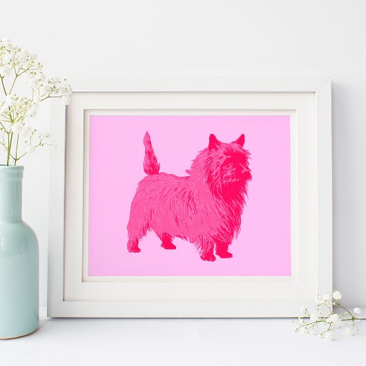 Pink Cairn Terrier Poster