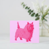 Pink Cairn Terrier Postkarte (Stehend Vorderseite)