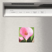 Pink Cala Lily Magnet (In Situ (Geschirrspüler))