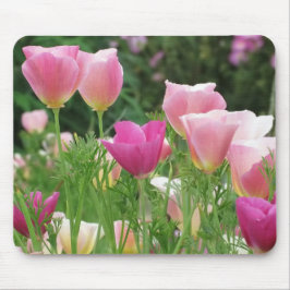 Pink Californian Poppies Mousepad