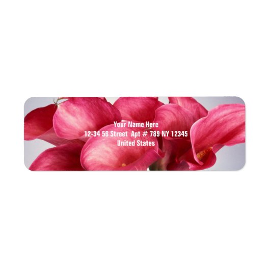 Pink Calla Lilies (Vorne)