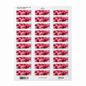 Pink Calla Lilies (Vorne)