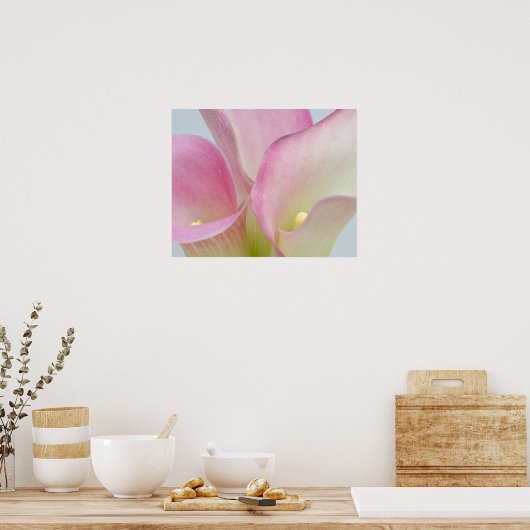 Pink Calla Lilies Poster (Küche)