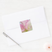 Pink Calla Lilies Quadratischer Aufkleber (Umschlag)