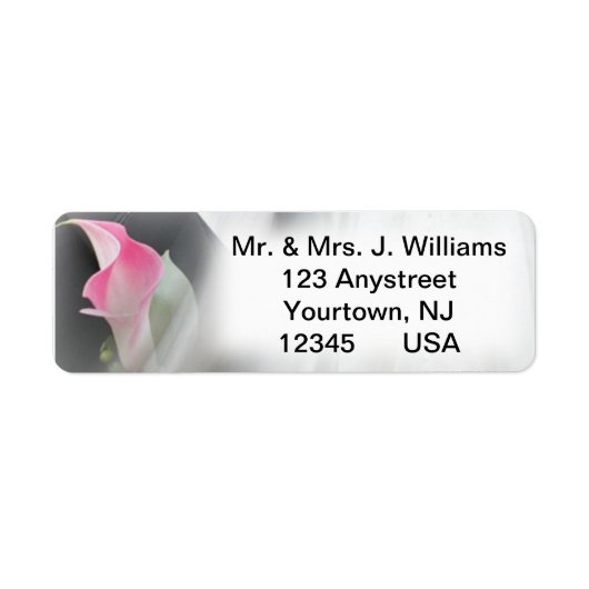 Pink Calla Lily Blühe Frame Address Label (Vorne)