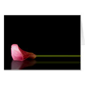 Pink Calla Lily Reflection (Vorderseite (Horizontal))