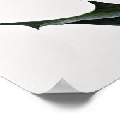 Pink Calles Lilies Lily Blume Art Paintball Poster (Ecke)