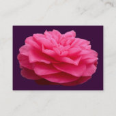 Pink Camelia 3 - Dunkel Lila Visitenkarte (Rückseite)
