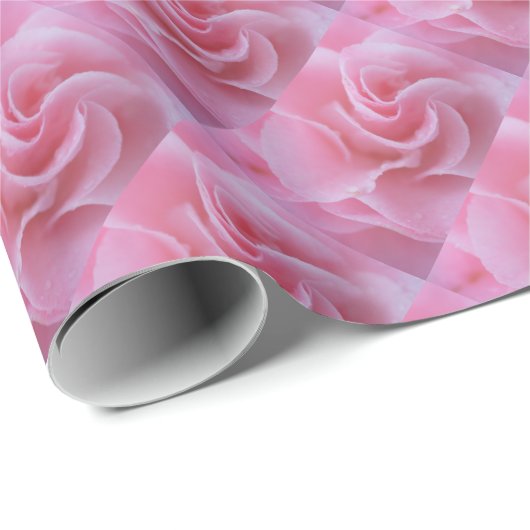 Pink Camelia Geschenkpapier (Rolleneckpunkt)